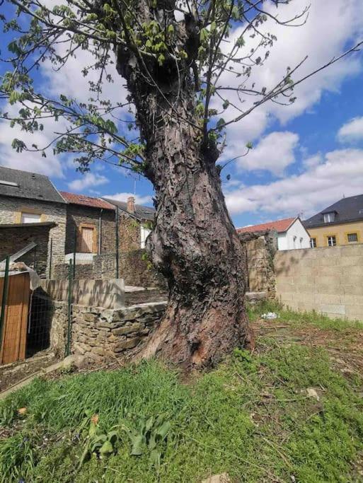 La Cascade Verte /Appartement /Jardin /Parking Braux  Eksteriør bilde